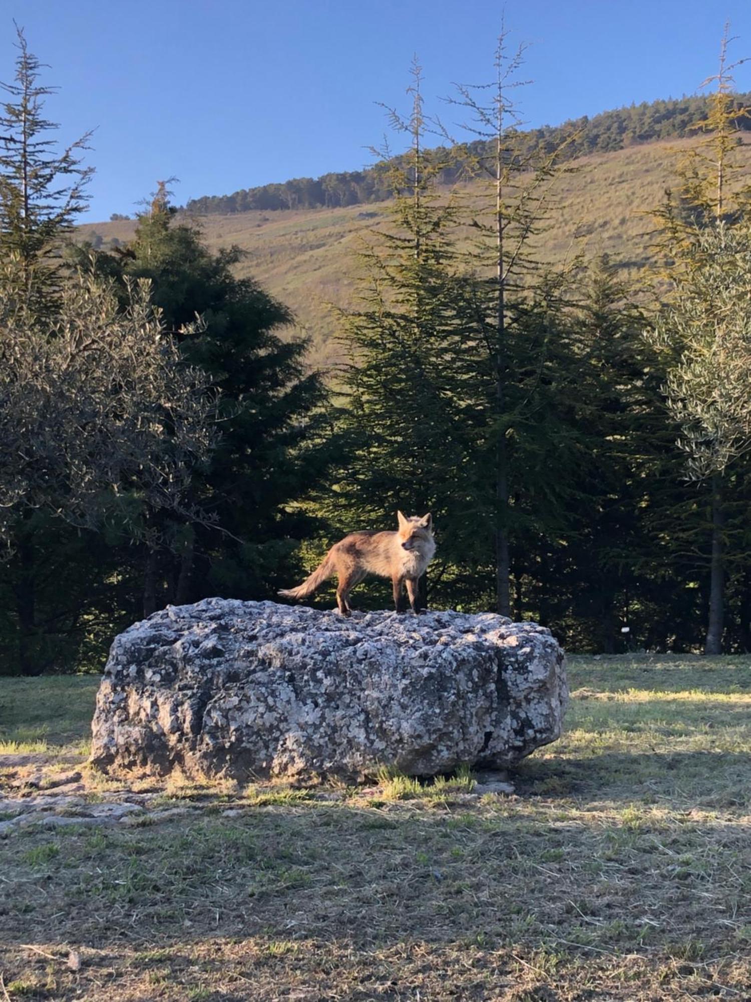 Agriturismo Serra Moneta Santo Stefano Quisquina Exteriér fotografie